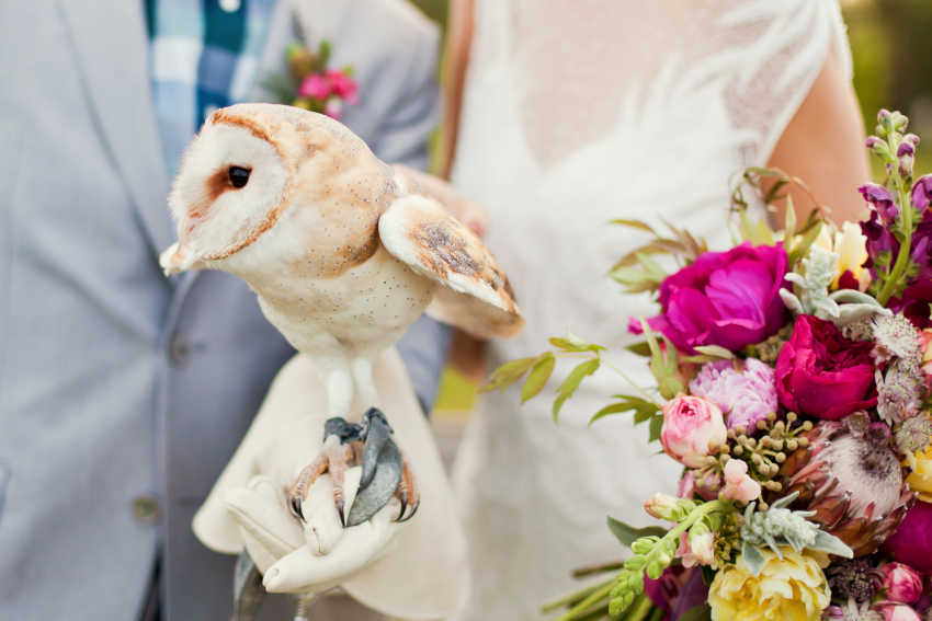 Owl ring bearer at wedding